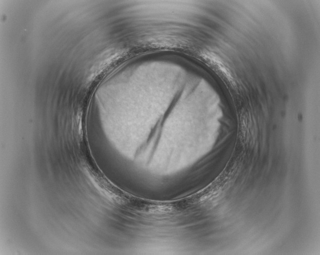 X0000088600398200706151806