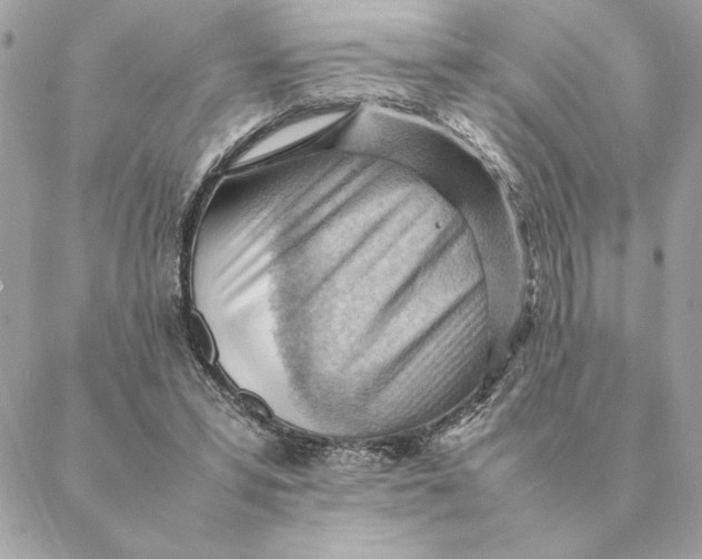 X0000088600399200706151806