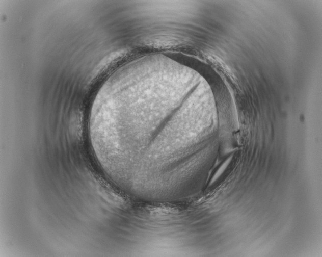 X0000088600400200706151806