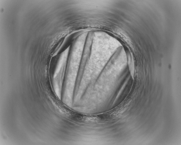 X0000088600401200706151806