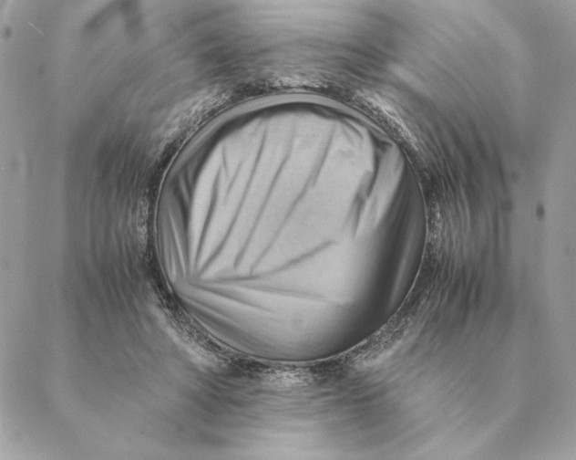 X0000088600402200706151806