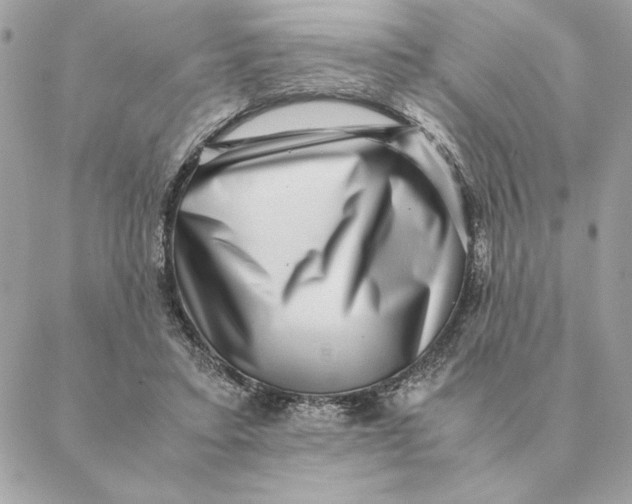 X0000088600403200706151806