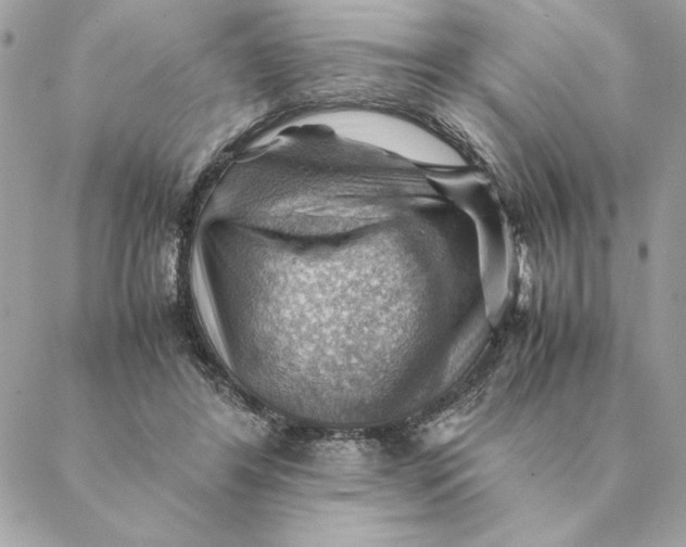 X0000088600404200706151806