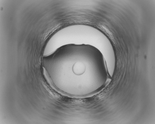 X0000088600405200706151806