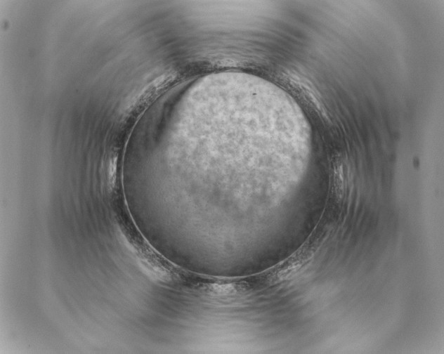 X0000088600406200706151806