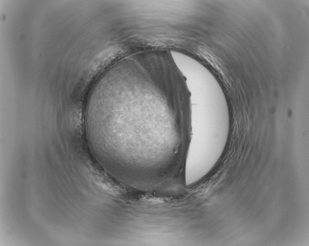 X0000088600407200706151806