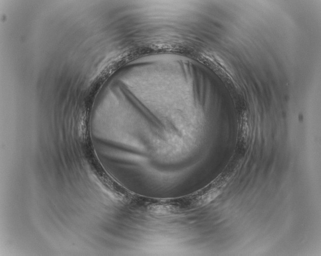 X0000088600408200706151806