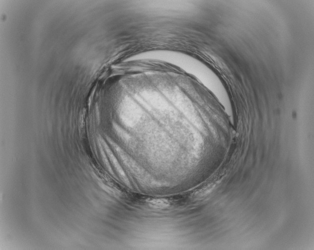 X0000088600409200706151806