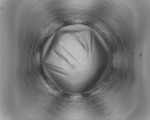 X0000088600410200706151806