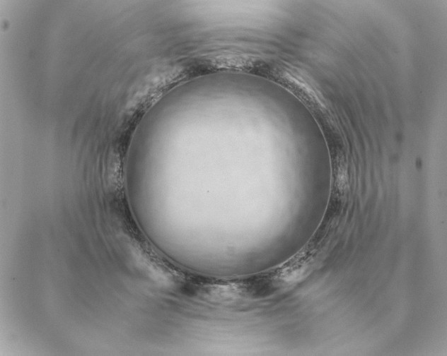 X0000088600411200706151806