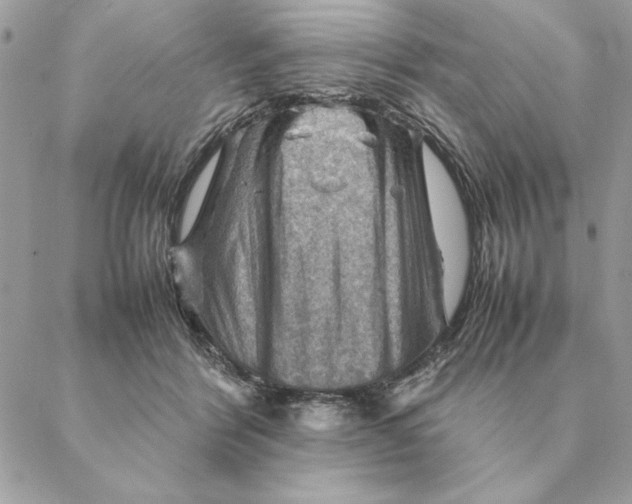 X0000088600412200706151806