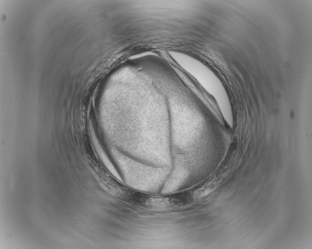 X0000088600413200706151806