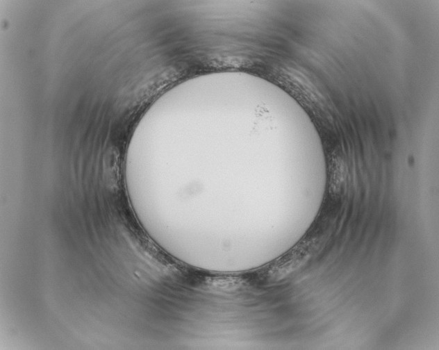 X0000088600414200706151806