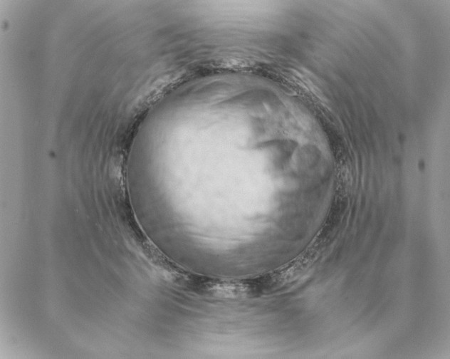 X0000088600415200706151806