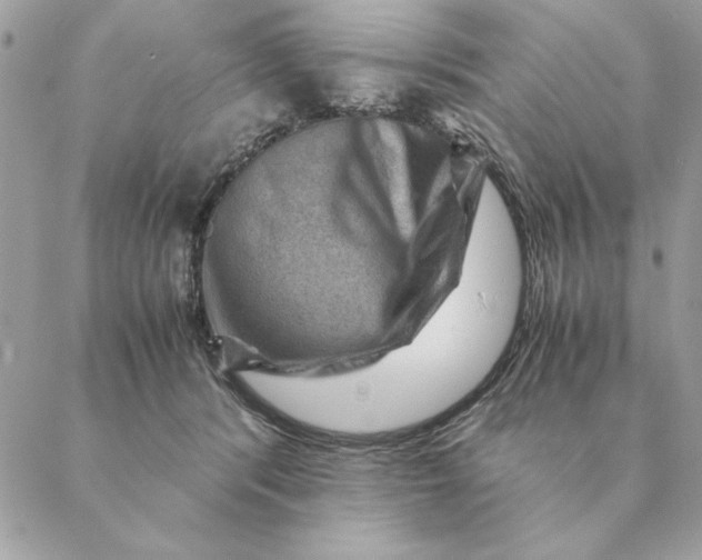 X0000088600416200706151806