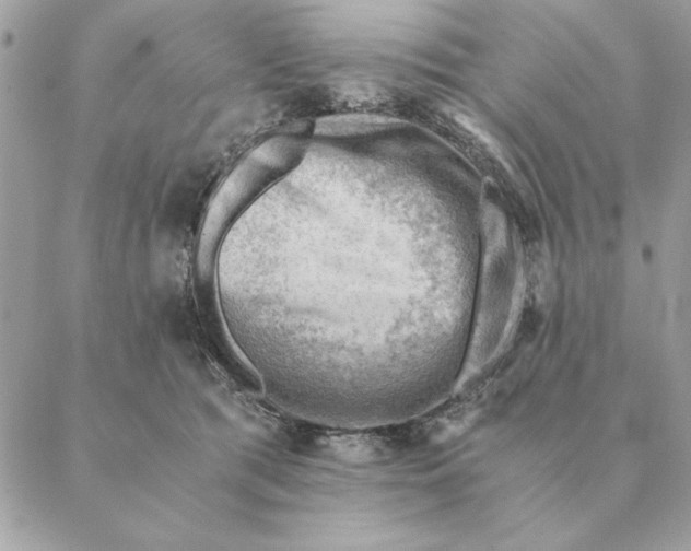 X0000088600417200706151806