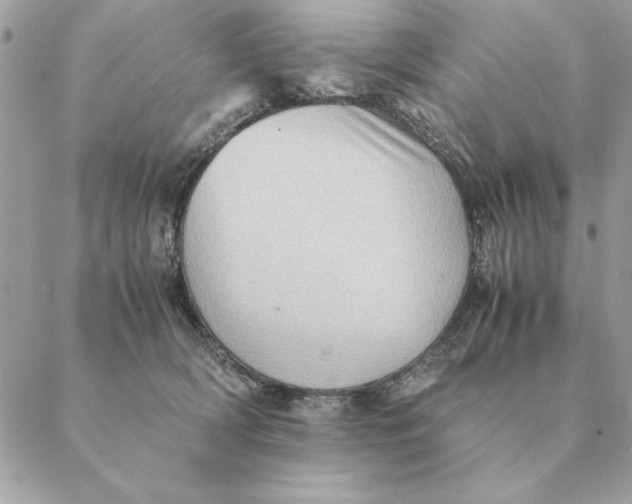 X0000088600418200706151806