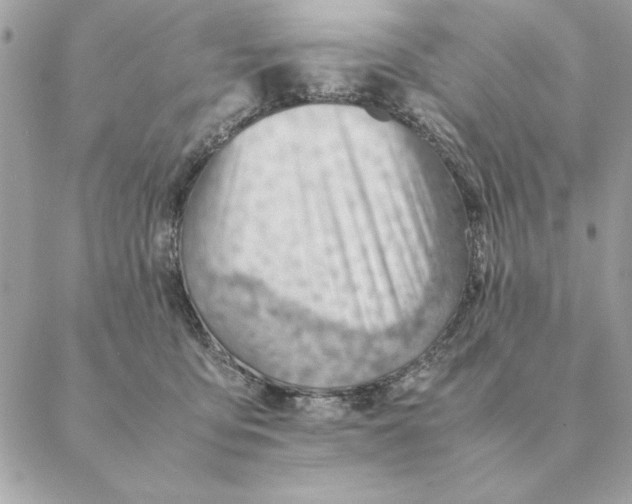 X0000088600419200706151806