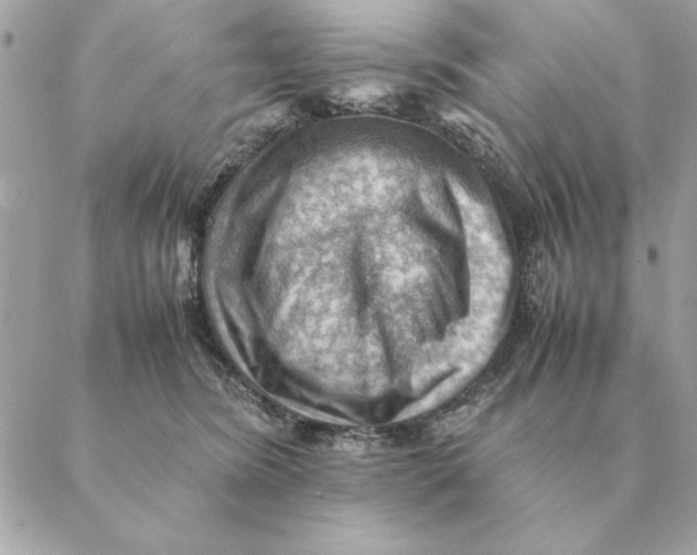 X0000088600420200706151806