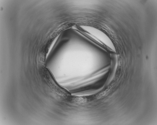 X0000088600421200706151806