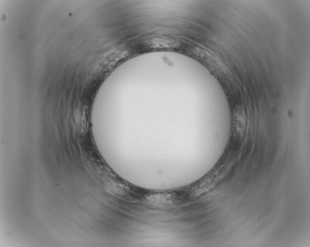 X0000088600422200706151806