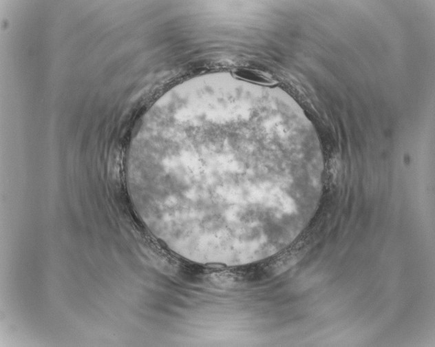 X0000088600423200706151806