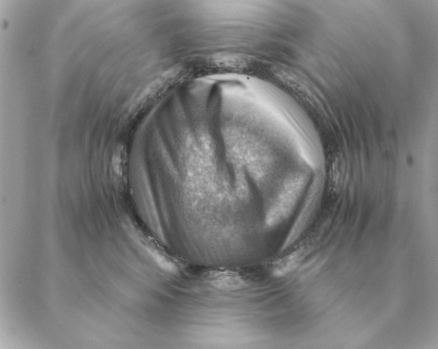 X0000088600424200706151806