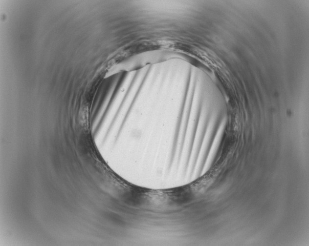 X0000088600425200706151806