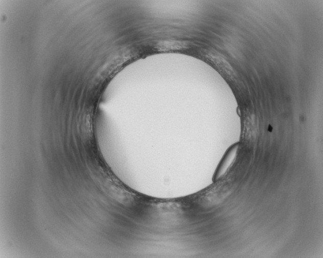 X0000088600426200706151806