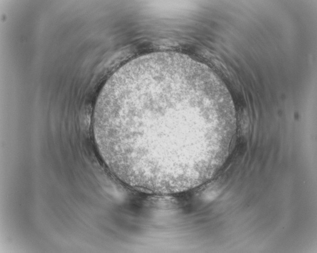 X0000088600427200706151806