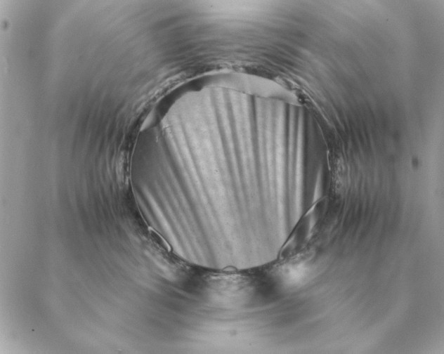 X0000088600428200706151806