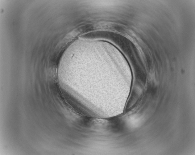 X0000088600429200706151806