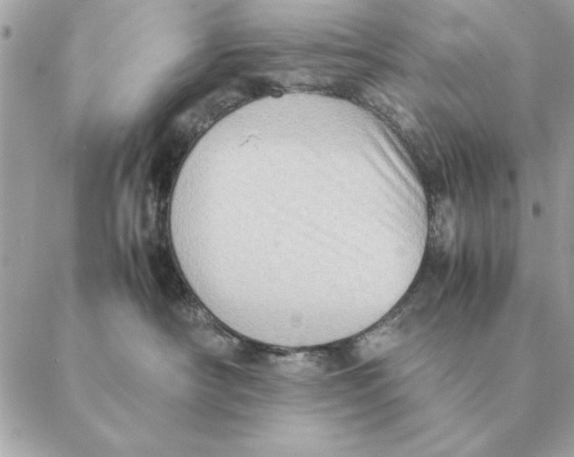 X0000088600430200706151806