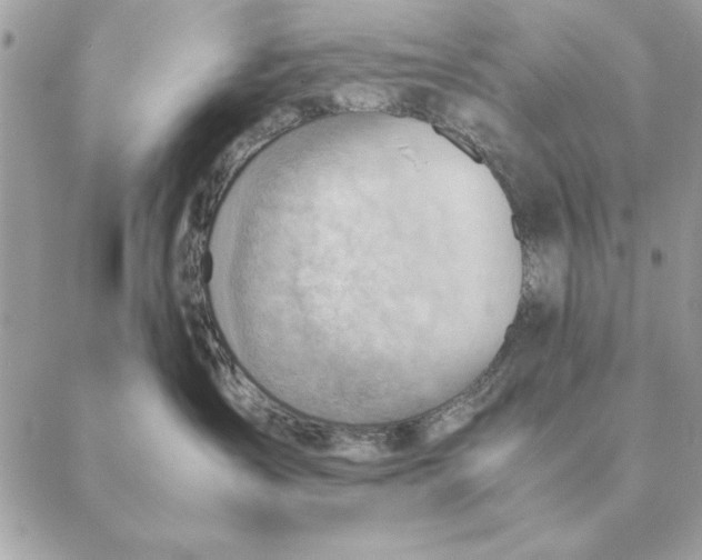 X0000088600431200706151806