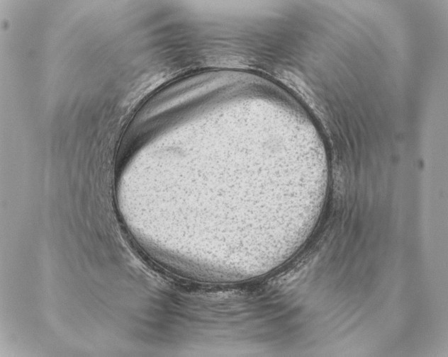 X0000088600433200706151805