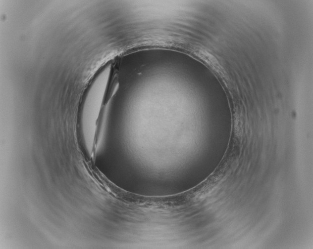 X0000088600434200706151805