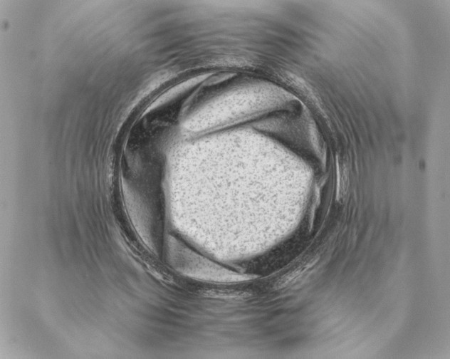 X0000088600435200706151805