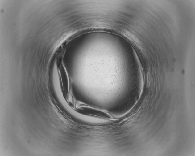 X0000088600436200706151805