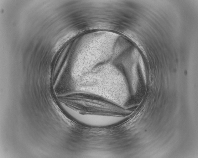 X0000088600437200706151805