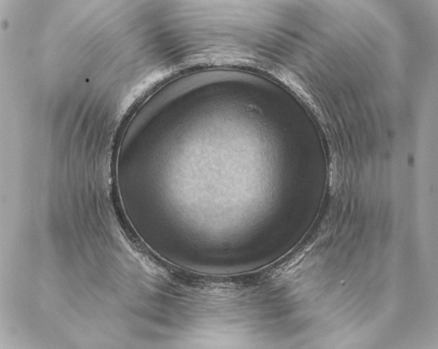 X0000088600438200706151805