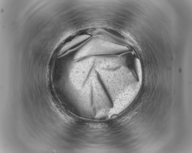 X0000088600439200706151805