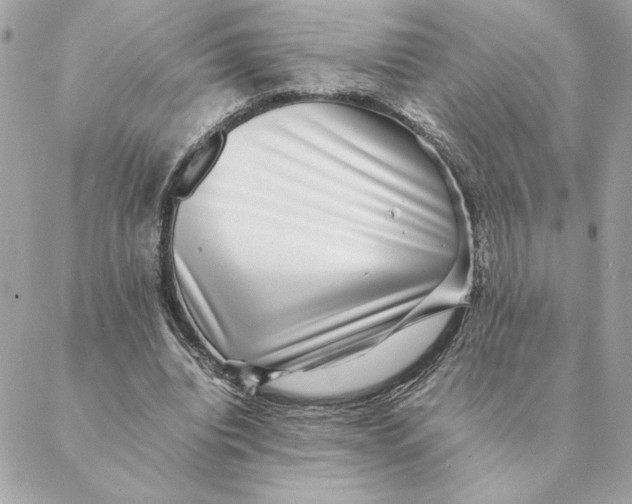 X0000088600440200706151805