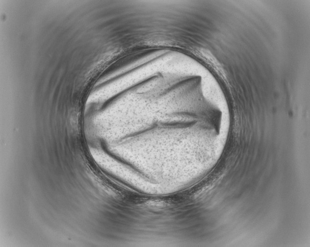 X0000088600441200706151805