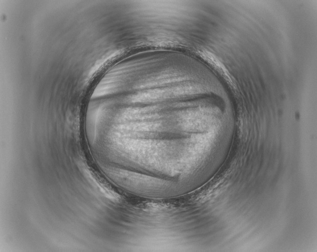 X0000088600442200706151805