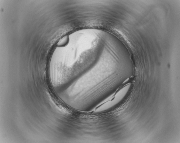 X0000088600443200706151805