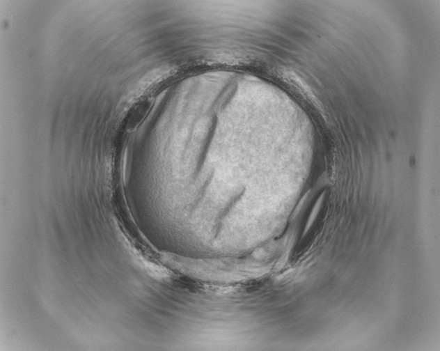 X0000088600444200706151805