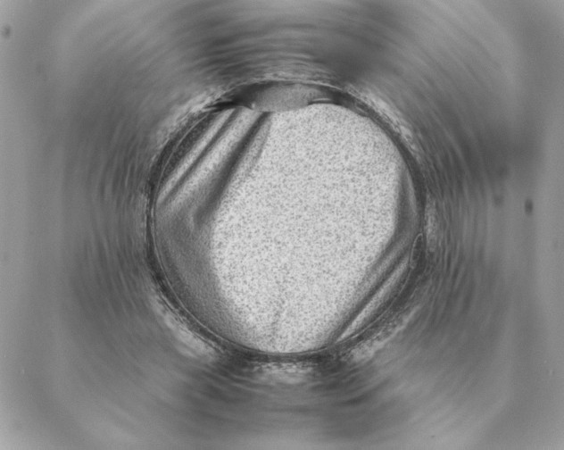 X0000088600445200706151805