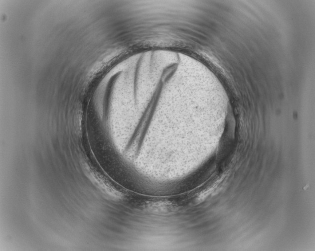 X0000088600446200706151805