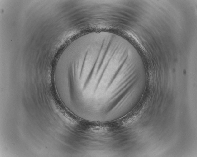 X0000088600447200706151805