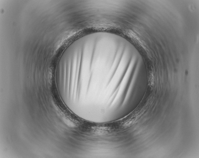 X0000088600448200706151805